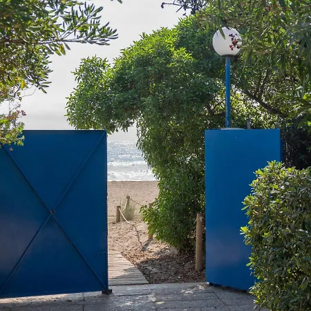 Blue Chill Gava